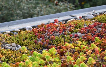 the cost of Eversley green roof installation