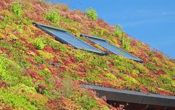 Eversley living roof systems